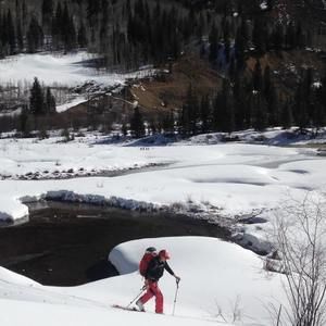 Meet your Posher, Marielle